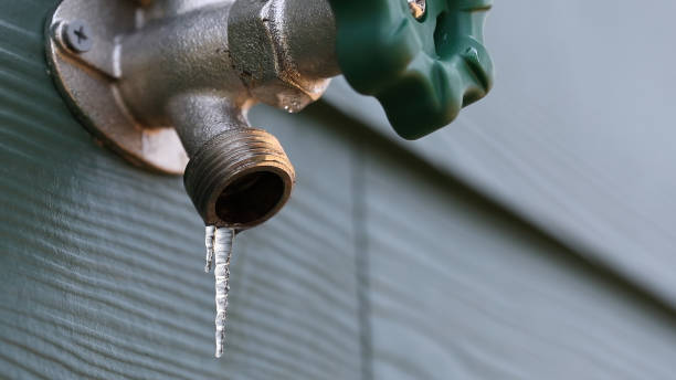 Best Residential Plumbing Services  in Nokomis, IL