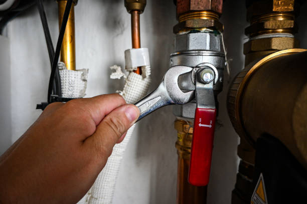 Best Commercial Plumbing Services  in Nokomis, IL